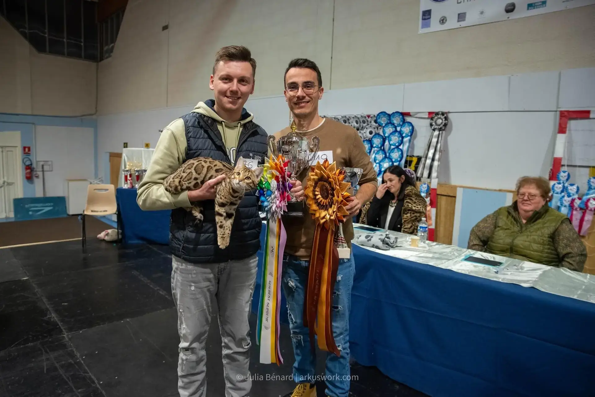 bengal's throne bengal brown tabby rosettes wild cat chat élevage sud vaucluse chaton chatterie mignon réservation adoption kitten exposition loof tica wcf sauvage panthère léopard alc
