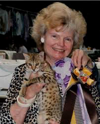 origine kin-kin jean mills bengal hybride F1 bengal's throne élevage chat loof wcf tica bengals bengal chat chatterie wild sauvage panthère léopard brown silver snow seal bleu rosettes vaucluse france tabby cat kitten mignon chaton chatons réservation vente alc asian leopard cat prionailurus bengalensis