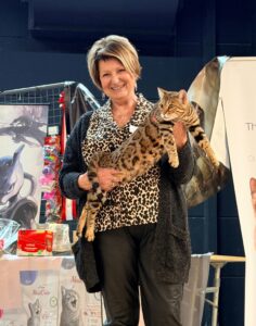 bengal's throne élevage chat loof wcf tica bengals bengal chat chatterie wild sauvage panthère léopard brown silver snow seal bleu rosettes vaucluse france tabby cat kitten mignon chaton chatons réservation vente